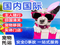 吴川空运公司国际宠物托运 【国